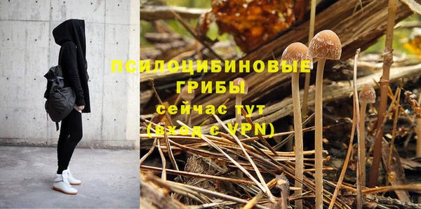 дурь Бугульма