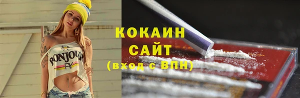 PSILOCYBIN Вяземский