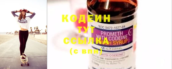 крисы Слюдянка