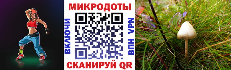 OMG tor  Волосово  Галлюциногенные грибы мухоморы  наркошоп 