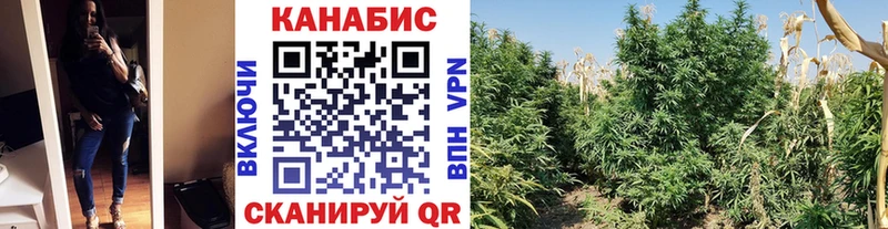 Конопля планчик  Волосово 